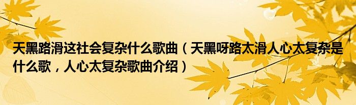 天黑路滑这社会复杂什么歌曲（天黑呀路太滑人心太复杂是什么歌，人心太复杂歌曲介绍）