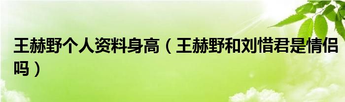王赫野个人资料身高（王赫野和刘惜君是情侣吗）