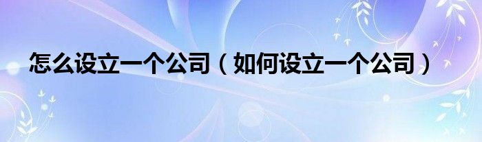 怎么设立一个公司（如何设立一个公司）