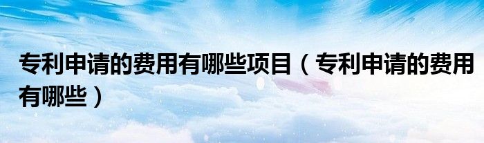 专利申请的费用有哪些项目（专利申请的费用有哪些）