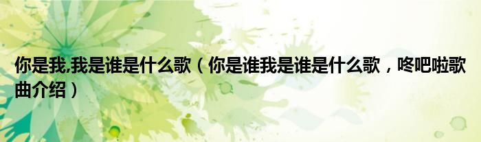 你是我,我是谁是什么歌（你是谁我是谁是什么歌，咚吧啦歌曲介绍）