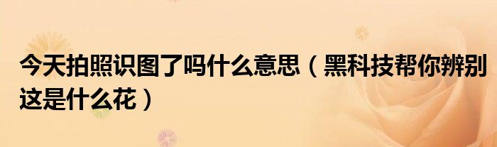 今天拍照识图了吗什么意思（黑科技帮你辨别这是什么花）