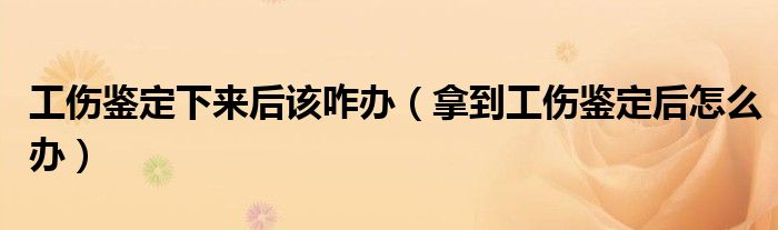 工伤鉴定下来后该咋办（拿到工伤鉴定后怎么办）