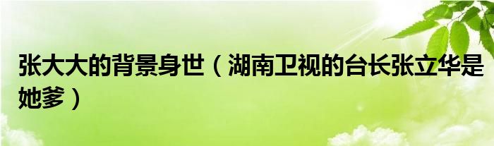 张大大的背景身世（湖南卫视的台长张立华是她爹）