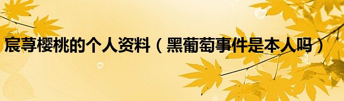 宸荨樱桃的个人资料（黑葡萄事件是本人吗）