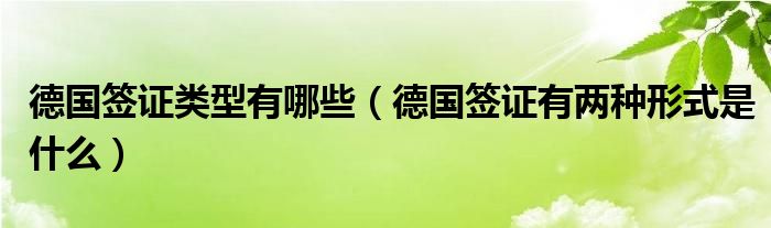德国签证类型有哪些（德国签证有两种形式是什么）