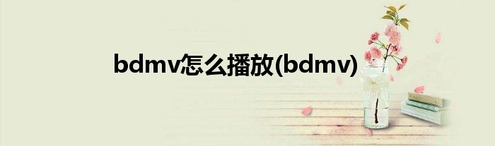 bdmv怎么播放(bdmv)