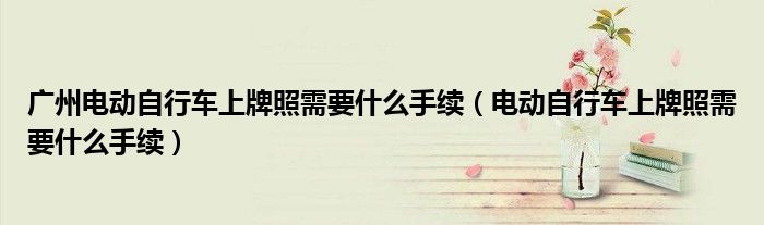 广州电动自行车上牌照需要什么手续（电动自行车上牌照需要什么手续）