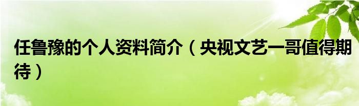 任鲁豫的个人资料简介（央视文艺一哥值得期待）