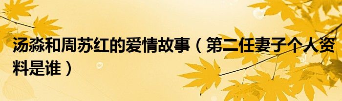 汤淼和周苏红的爱情故事（第二任妻子个人资料是谁）