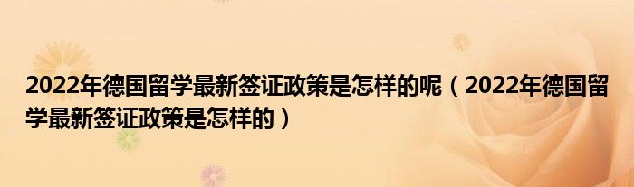 2022年德国留学最新签证政策是怎样的呢（2022年德国留学最新签证政策是怎样的）