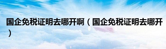 国企免税证明去哪开啊（国企免税证明去哪开）
