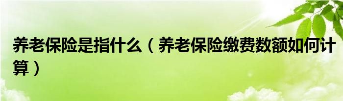 养老保险是指什么（养老保险缴费数额如何计算）