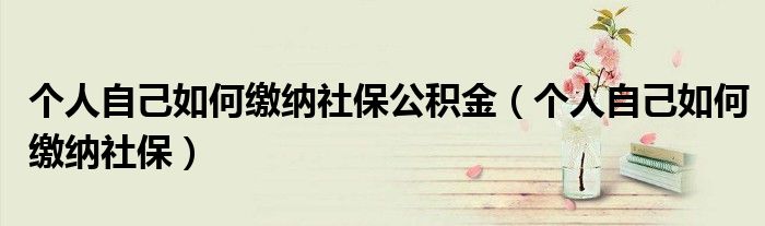个人自己如何缴纳社保公积金（个人自己如何缴纳社保）