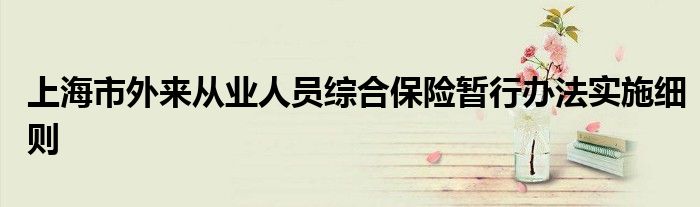 上海市外来从业人员综合保险暂行办法实施细则