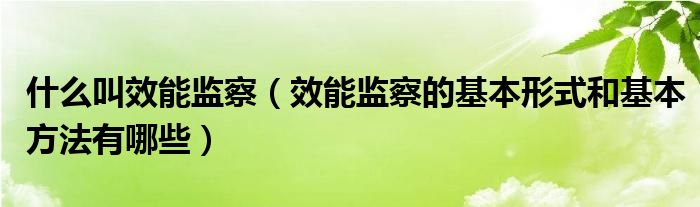 什么叫效能监察（效能监察的基本形式和基本方法有哪些）