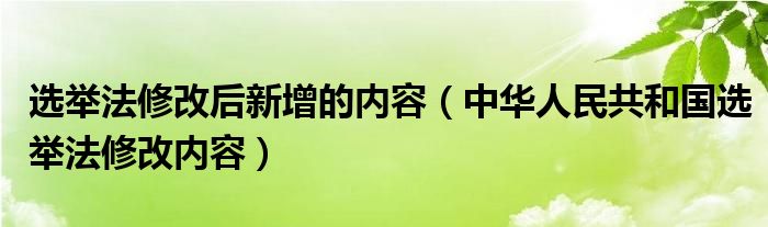 选举法修改后新增的内容（中华人民共和国选举法修改内容）
