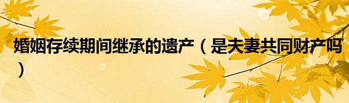 婚姻存续期间继承的遗产（是夫妻共同财产吗）