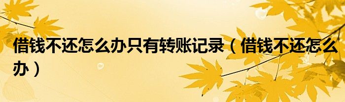 借钱不还怎么办只有转账记录（借钱不还怎么办）