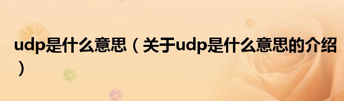 udp是什么意思（关于udp是什么意思的介绍）