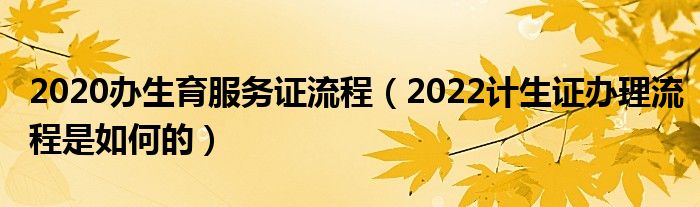 2020办生育服务证流程（2022计生证办理流程是如何的）