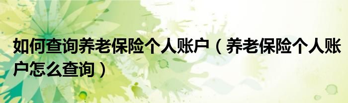 如何查询养老保险个人账户（养老保险个人账户怎么查询）