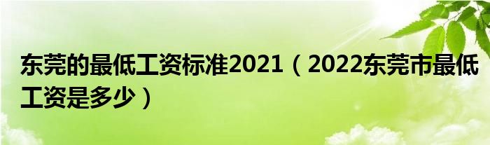 东莞的最低工资标准2021（2022东莞市最低工资是多少）