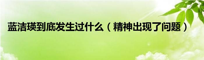 蓝洁瑛到底发生过什么（精神出现了问题）