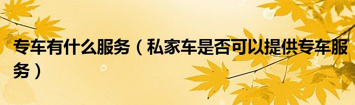 专车有什么服务（私家车是否可以提供专车服务）