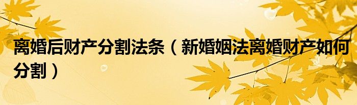 离婚后财产分割法条（新婚姻法离婚财产如何分割）