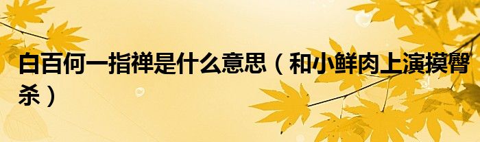 白百何一指禅是什么意思（和小鲜肉上演摸臀杀）