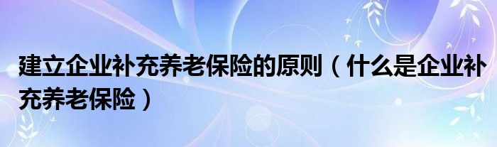 建立企业补充养老保险的原则（什么是企业补充养老保险）
