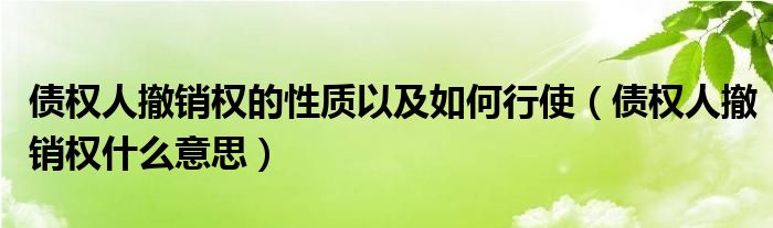 债权人撤销权的性质以及如何行使（债权人撤销权什么意思）