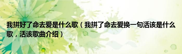 我拼好了命去爱是什么歌（我拼了命去爱换一句活该是什么歌，活该歌曲介绍）