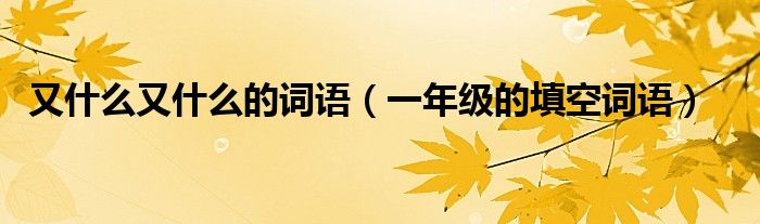 又什么又什么的词语（一年级的填空词语）