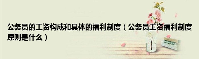 公务员的工资构成和具体的福利制度（公务员工资福利制度原则是什么）