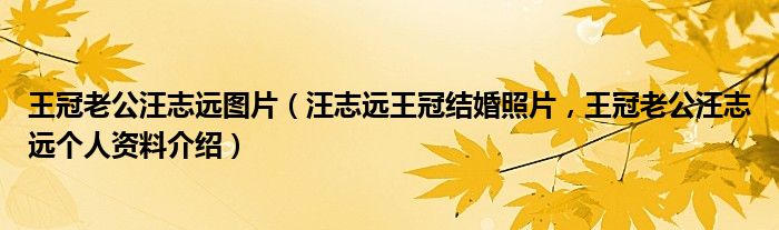 王冠老公汪志远图片（汪志远王冠结婚照片，王冠老公汪志远个人资料介绍）