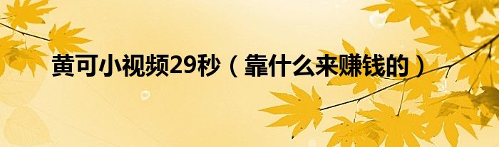黄可小视频29秒（靠什么来赚钱的）