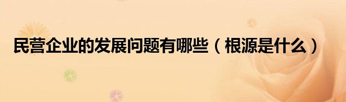 民营企业的发展问题有哪些（根源是什么）