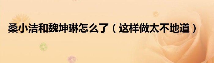 桑小洁和魏坤琳怎么了（这样做太不地道）
