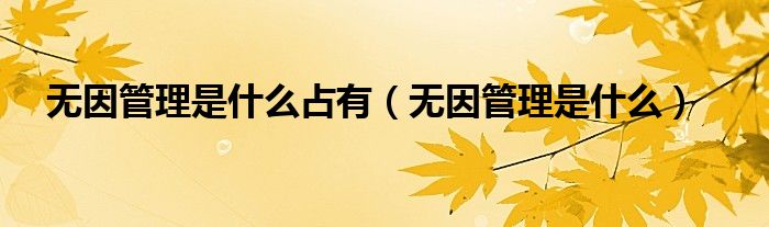 无因管理是什么占有（无因管理是什么）