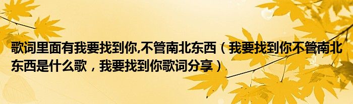 歌词里面有我要找到你,不管南北东西（我要找到你不管南北东西是什么歌，我要找到你歌词分享）