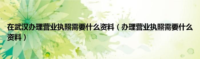 在武汉办理营业执照需要什么资料（办理营业执照需要什么资料）