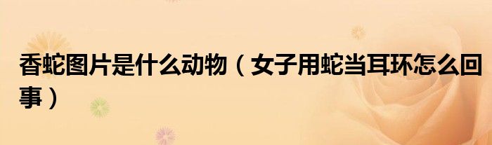 香蛇图片是什么动物（女子用蛇当耳环怎么回事）