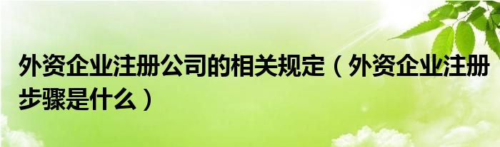 外资企业注册公司的相关规定（外资企业注册步骤是什么）