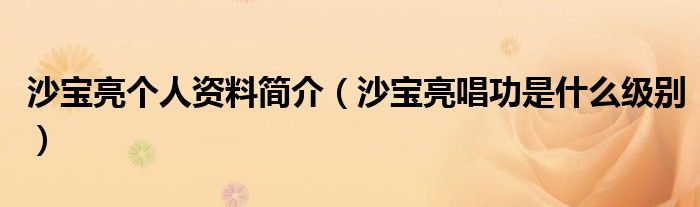 沙宝亮个人资料简介（沙宝亮唱功是什么级别）