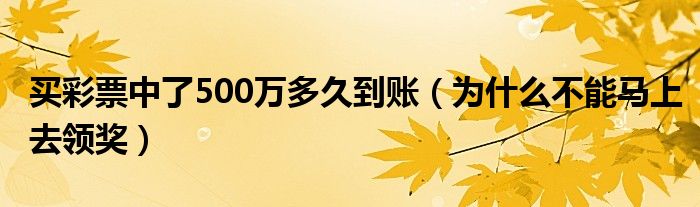 买彩票中了500万多久到账（为什么不能马上去领奖）