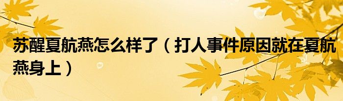 苏醒夏航燕怎么样了（打人事件原因就在夏航燕身上）