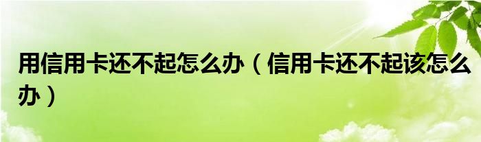 用信用卡还不起怎么办（信用卡还不起该怎么办）