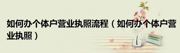 如何办个体户营业执照流程（如何办个体户营业执照）